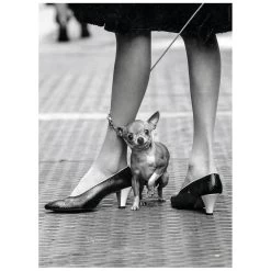 Clementoni Life Magazine Cover Photo Jigsaw Puzzle Black White 1000 Pieces -Trendy Toy Store GRA39634 6347 2 opt