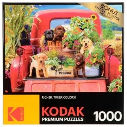 Kodak Premium Jigsaw Puzzle Bright Colour 1000 Pieces Age 10+ -Trendy Toy Store GRA8700 6306 AM I 1 opt